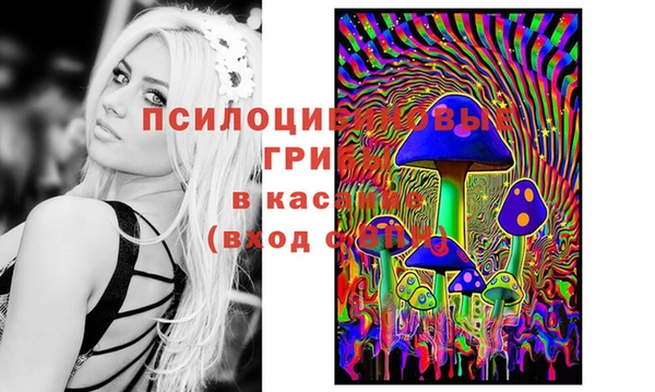 дживик Горнозаводск