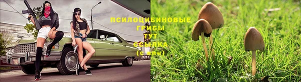 дживик Горнозаводск