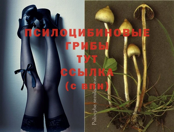 дживик Горнозаводск
