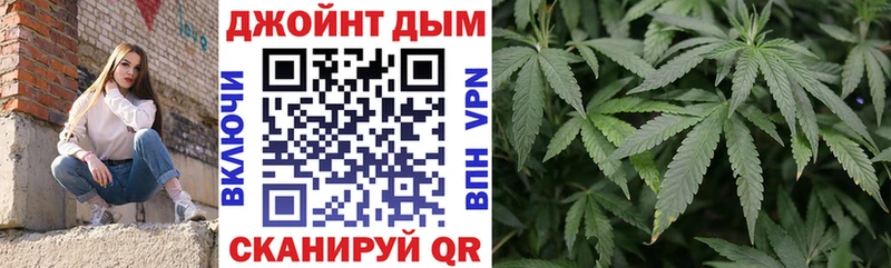 где можно купить   blacksprut как войти  МАРИХУАНА сатива  Камышин 
